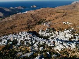 Amedi Villas Tinos