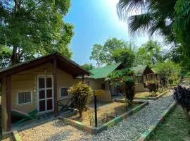Nature Safari Camp