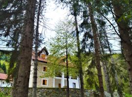 Mountain house Korab Trnica，位于Trnica的木屋