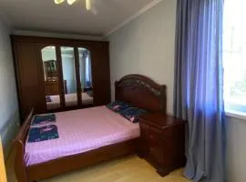 Apartment on Abazgaa