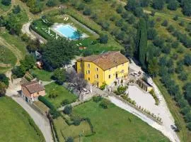 Amedea Tuscany Country Experience