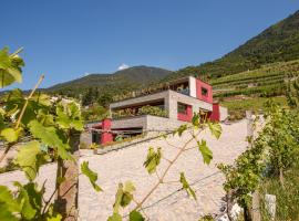 Nebbiolo Wine B&B，位于Castione Andevenno的住宿加早餐旅馆