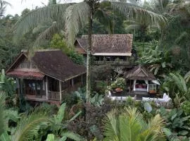 Nienté Bali