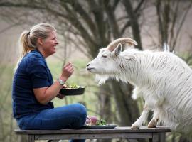 Toric Farmlodge，位于布拉斯泰德的乡村别墅