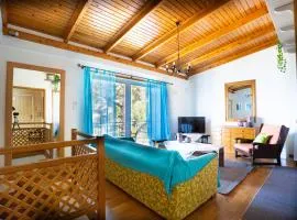 Chrysi's House φιλόξενο, άνετο και με υπέροχη θέα.