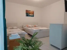 Apartament la curte AnaMaria