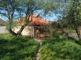 Birdsong Cottage - peaceful country retreat，位于Păuleni-Ciuc的带停车场的酒店