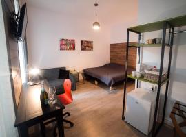 Ultra central bohemian apartment 3，位于克卢日-纳波卡的酒店