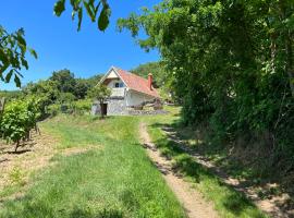 Vine Cottage，位于Káptalantóti的度假短租房