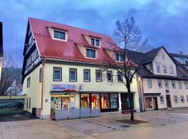 Historische Unterkunft in Lorch，位于洛尔希的酒店