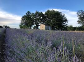 Cabanon du berger，位于赛尼翁的木屋