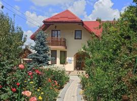 Agropensiunea Florina-Maria，位于Braniştea的酒店