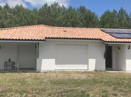 chambre au pied de la forêt