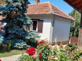 Apartman Nebojša，位于鲁德尼克的酒店