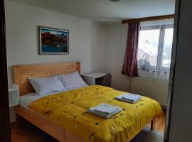 Aleksandar apartmani，位于帕莱的酒店