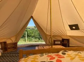 Roaches Retreat Eco Glampsite - Wallaby Way Bell Tent