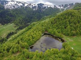 Raković Katun - Biogradska gora accomodation，位于贝拉内的酒店