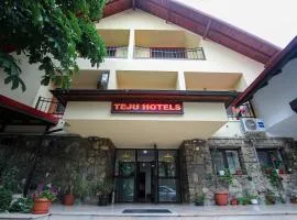 Teju Hotels