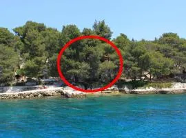 Seaside secluded apartments Lavdara, Dugi otok - 8114