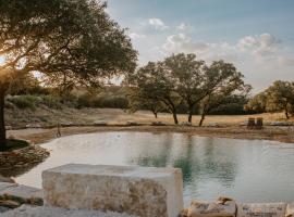The Roost Farmhaus on 20 acres, hill country view, firepit, swimming hole，位于Spring Branch的度假屋