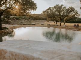 Nest - Texas Tiny House with a Big View，位于Spring Branch的度假屋