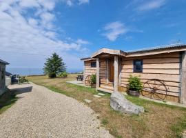 Byre Cottages & Log Cabin，位于卡迪根西尔杰仁城堡附近的酒店