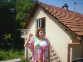 Small house in Celje，位于采列的度假短租房