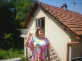 Small house in Celje，位于采列的酒店