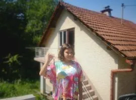 Small house in Celje