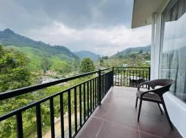 Dream Stay Green
