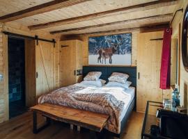 Alpen Lodge Berwang，位于贝旺的山林小屋