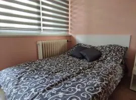 Stan na dan Bor