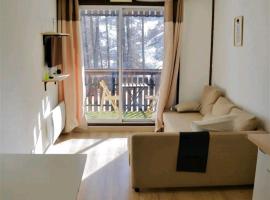 La Foux d'Allos STUDIO 4 PERSONNES 23m2 résidence les Etoiles，位于阿洛斯的酒店