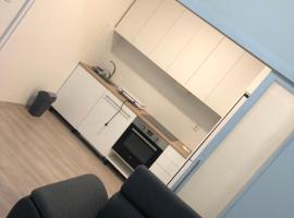 Vintage Apartment Ostrava center city，位于俄斯特拉发的酒店