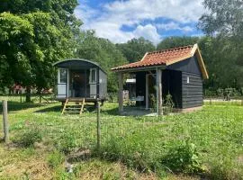 Tiny house, pipowagen onder de kastanje