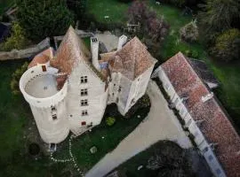 Grand gîte au château de Betz-le-Château