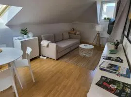 Appartement style loft en centre ville