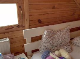Wooden House，位于梅斯蒂亚的山林小屋