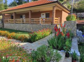 Vila Vera Borsko Jezero，位于博尔的酒店