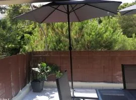 Little Summer Chalet