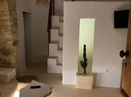 Nature Friendly Dame