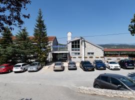 Hotel Lovac，位于帕津的酒店