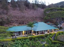 Iao Valley Inn，位于怀卢库Tropical Gardens of Maui附近的酒店