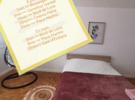 Chambre cocooning tout confort Saint Marceau，位于奥尔良的民宿