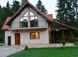 cabana din padure，位于Finiş的酒店