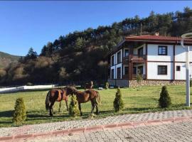 Mengen Rüya Çiftliği，位于Babahızır的酒店