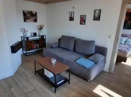 Ferienwohnung Schneeberg