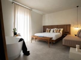 Polis of Naxos Stylish Suites，位于纳克索乔拉的酒店