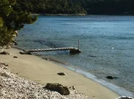 Apartments by the sea Cove Saplunara, Mljet - 12849