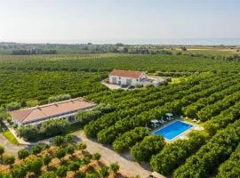 金塔多斯香水住宿加早餐旅馆